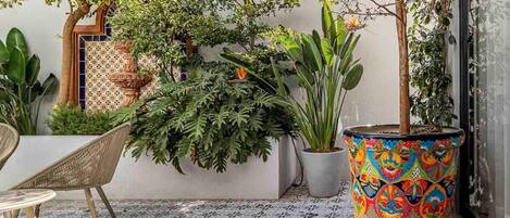 テラス / パティオ