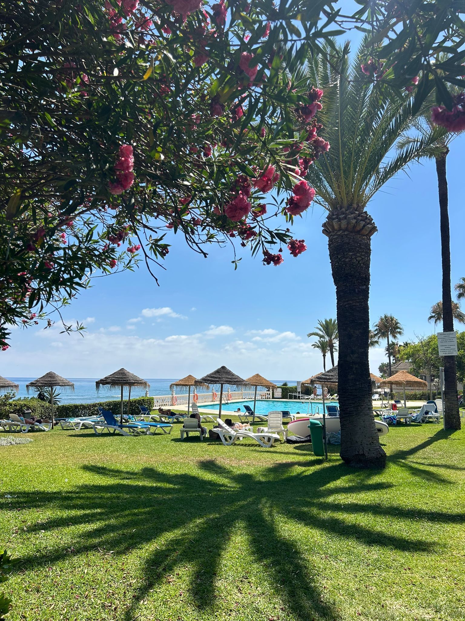 Jardines del alojamiento