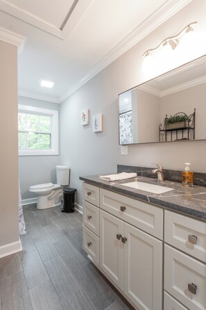 A modern bathroom with a white toilet, a sink with a marble countertop, and a large mirror above the vanity.