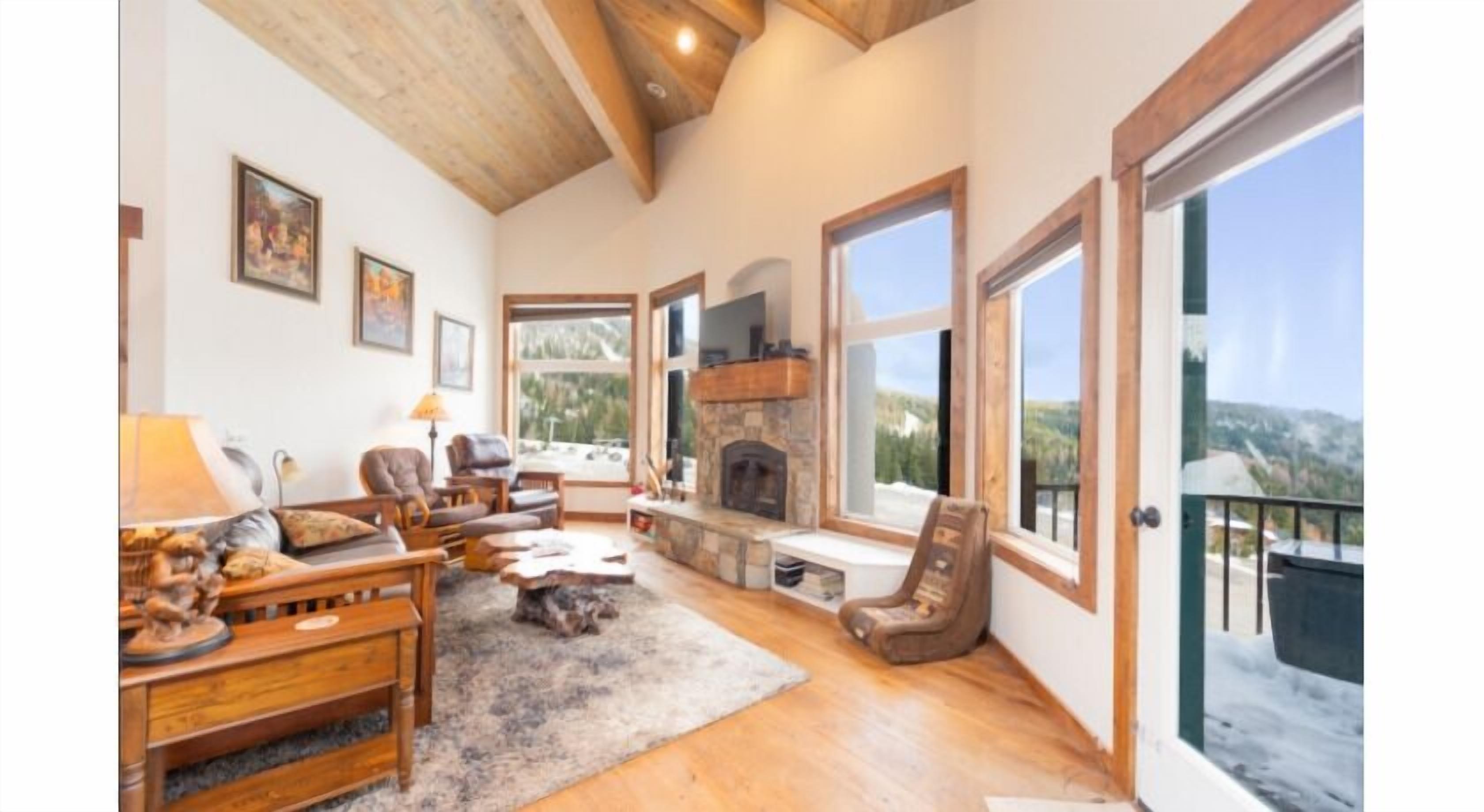 Télévision, cheminée, livres