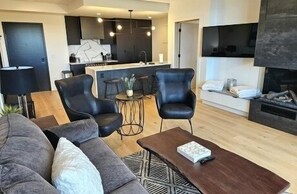 TV, fireplace, books