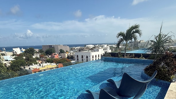 A rooftop pool with a clear view of the cityscape, two lounge chairs, and a palm tree.