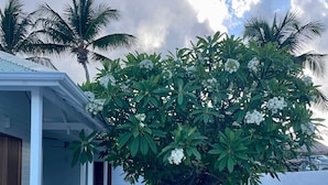 A wooden deck with lounge chairs, a covered patio area, and a garden with various plants and a large flowering tree. - VILLA EDENLY ORIENT BAY (saint martin)