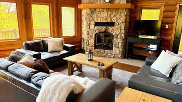 Una televisión, una chimenea