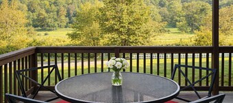 Cozy Cabin w/ Patio, Backyard BBQ, Views, Pets