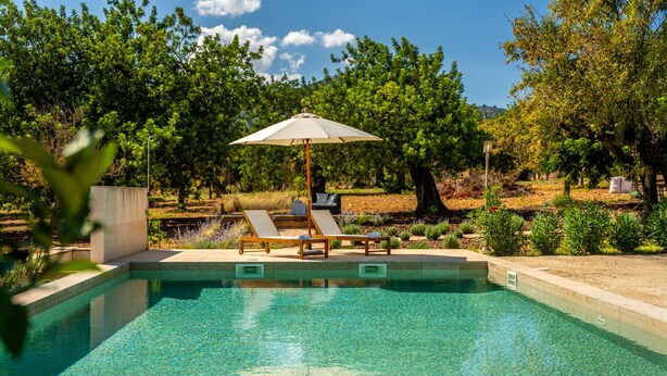 A swimming pool with clear water, surrounded by a concrete deck. There are lounge chairs and a large umbrella providing shade.