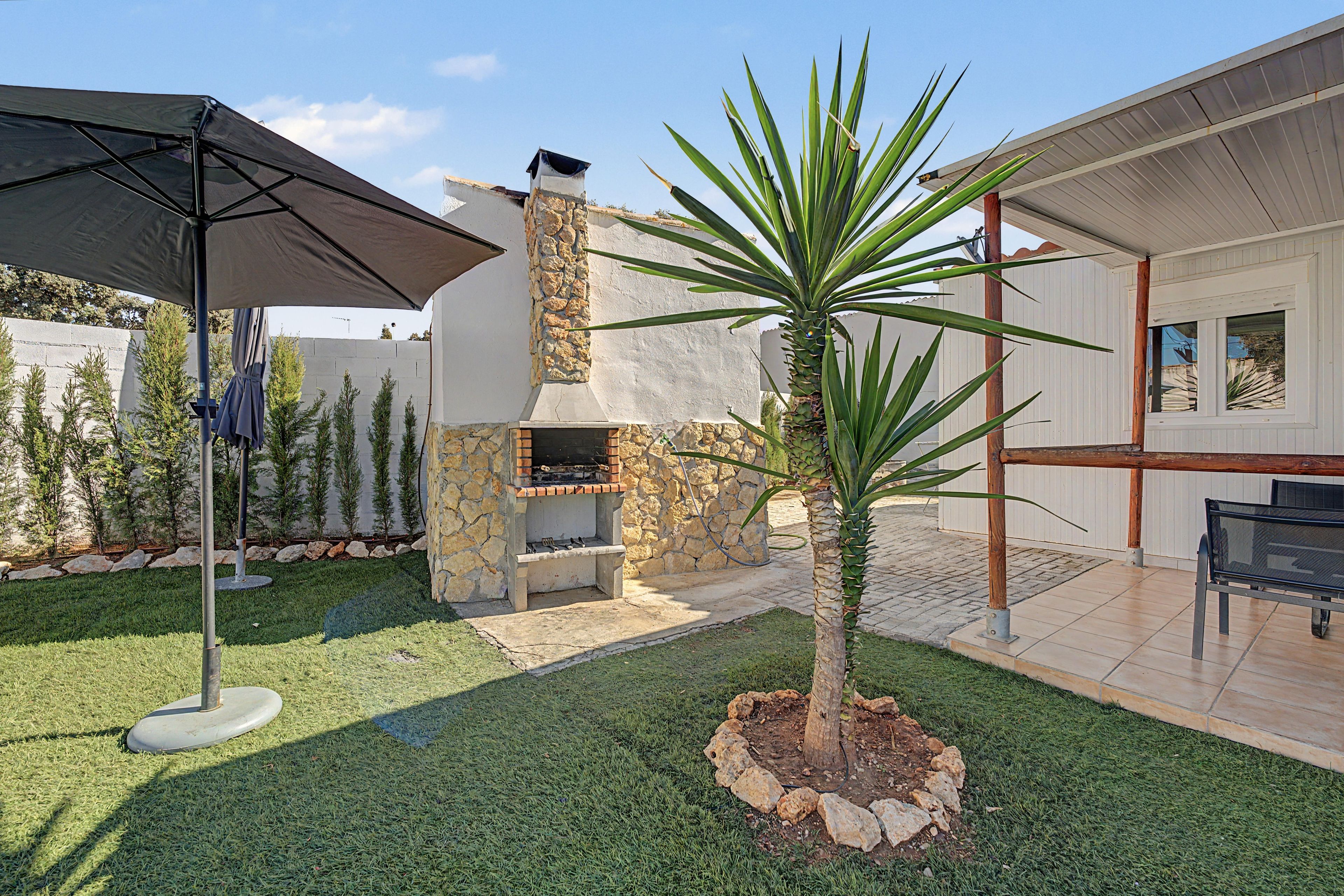 Ein Garten mit Kamin aus Stein, einer Palme und einer Terrassenfläche.