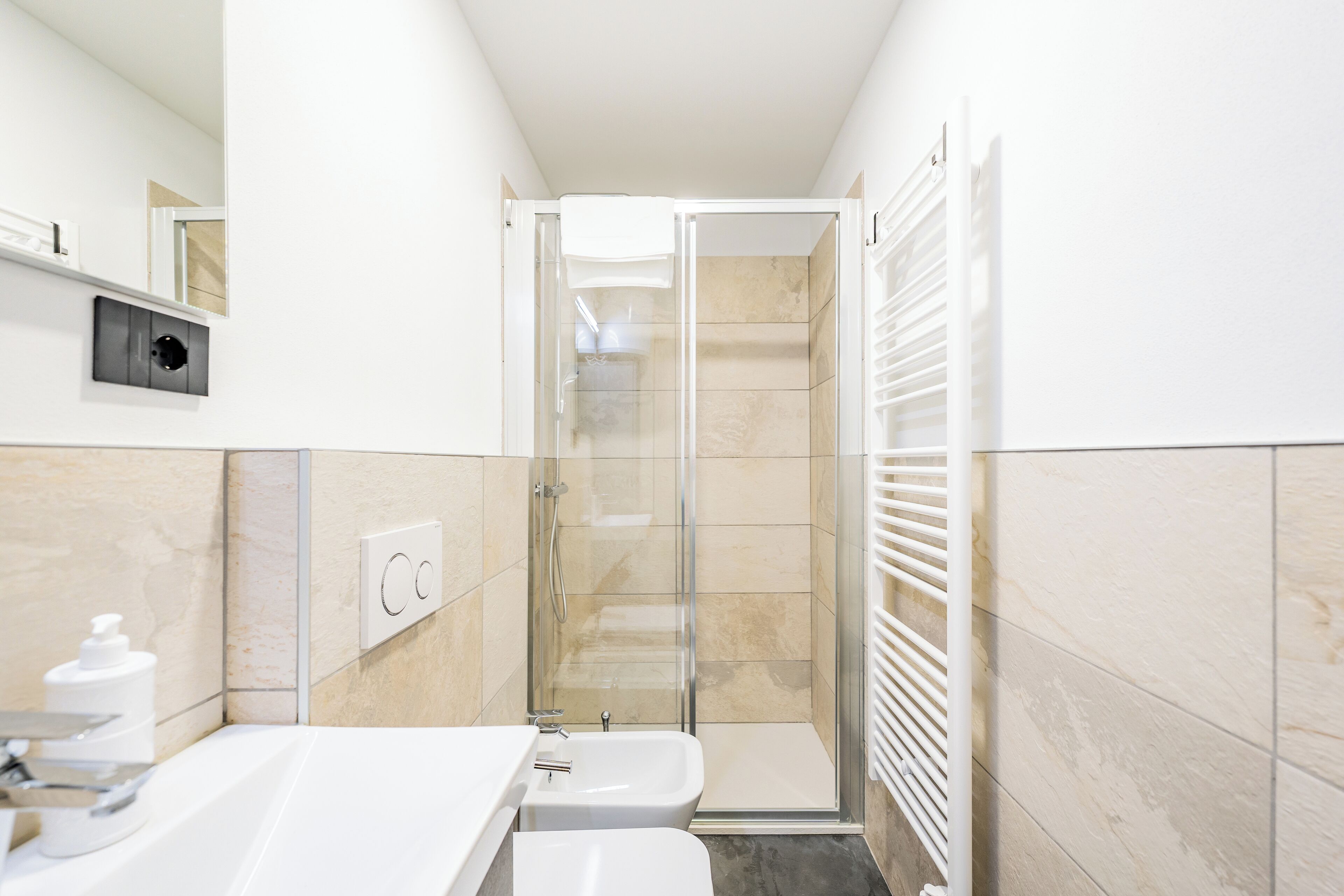 Shower, hair dryer, bidet, towels