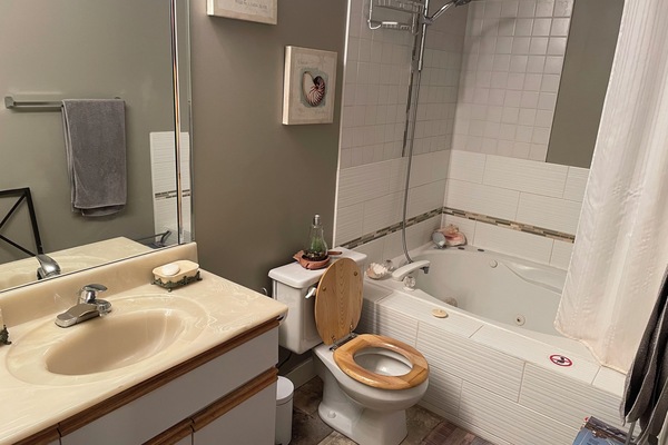 Een haardroger, handdoeken, zeep, toiletpapier