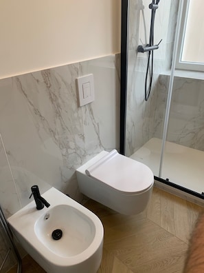 Shower, hair dryer, bidet, towels