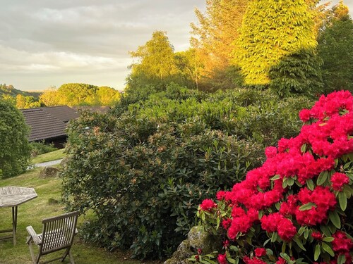 Genuine log cabin, Solway Coast. Sleeps 6. Pet friendly. Perfect getaway.