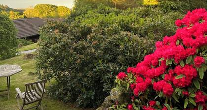 Genuine log cabin, Solway Coast. Sleeps 6. Pet friendly. Perfect getaway.