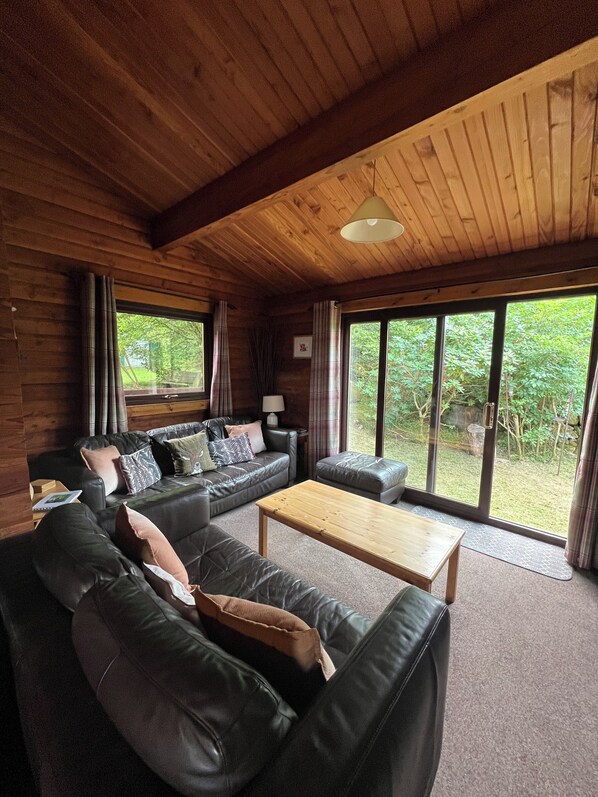 Téléviseur, foyer, lecteur de DVD