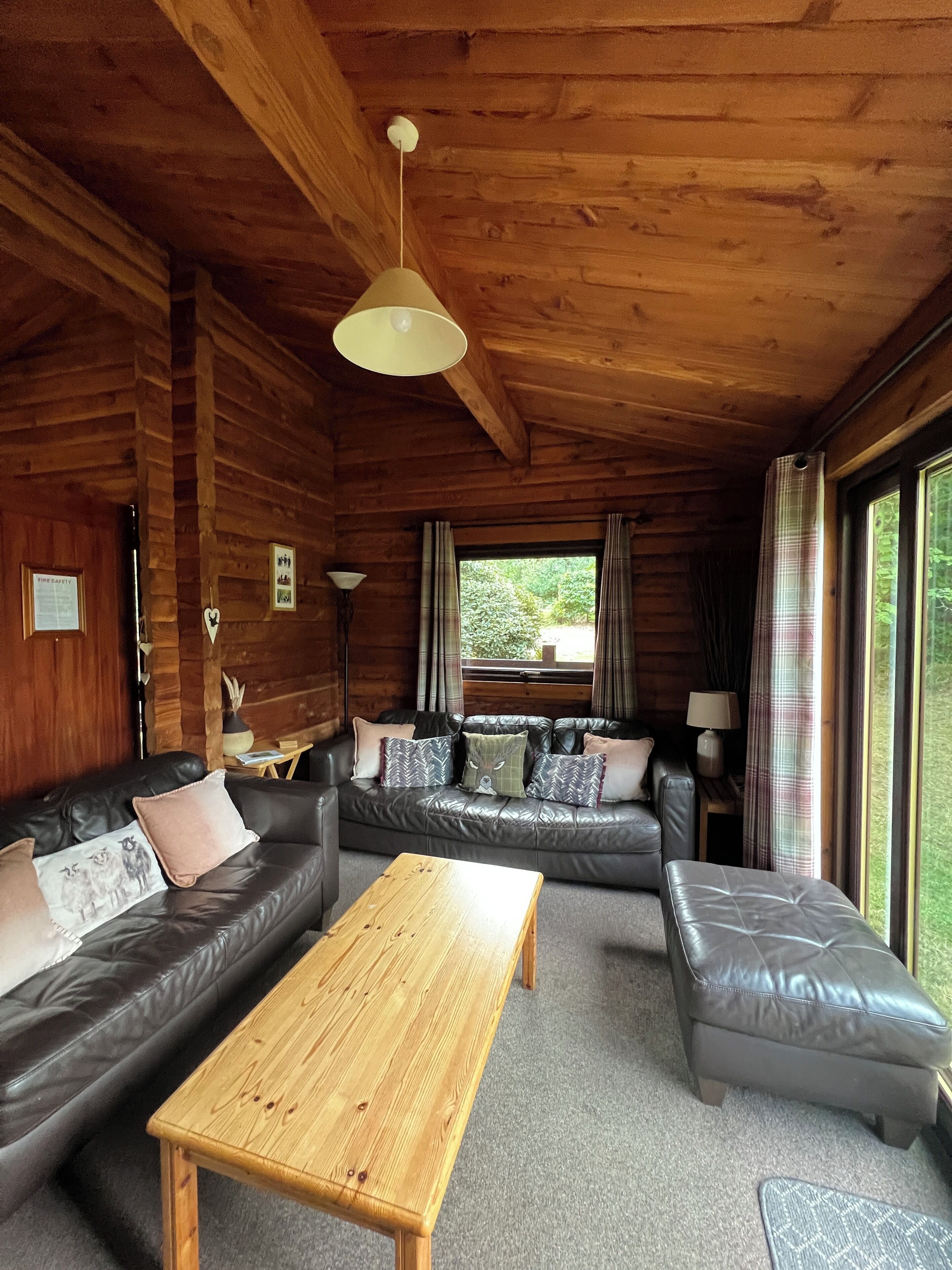 电视、壁炉、DVD 播放器