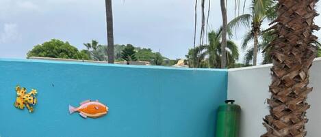 テラス / パティオ