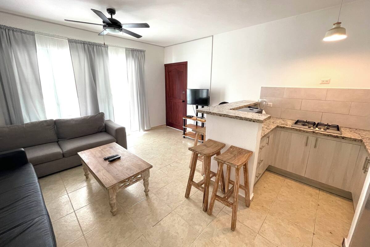 Un espace de vie compact comprenant un canapé, une table basse, un coin cuisine avec une cuisinière à gaz et un ventilateur de plafond.