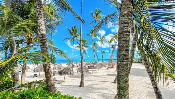 A beach with palm trees and thatched umbrellas. - CASAS DEL MAR HOTEL Beach & SPA (Punta Cana)