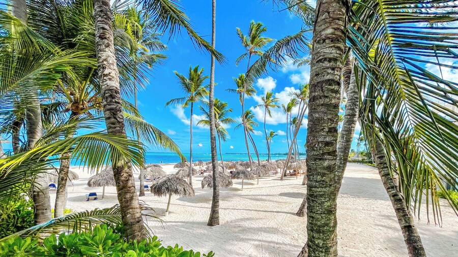 CASAS DEL MAR HOTEL Beach & SPA