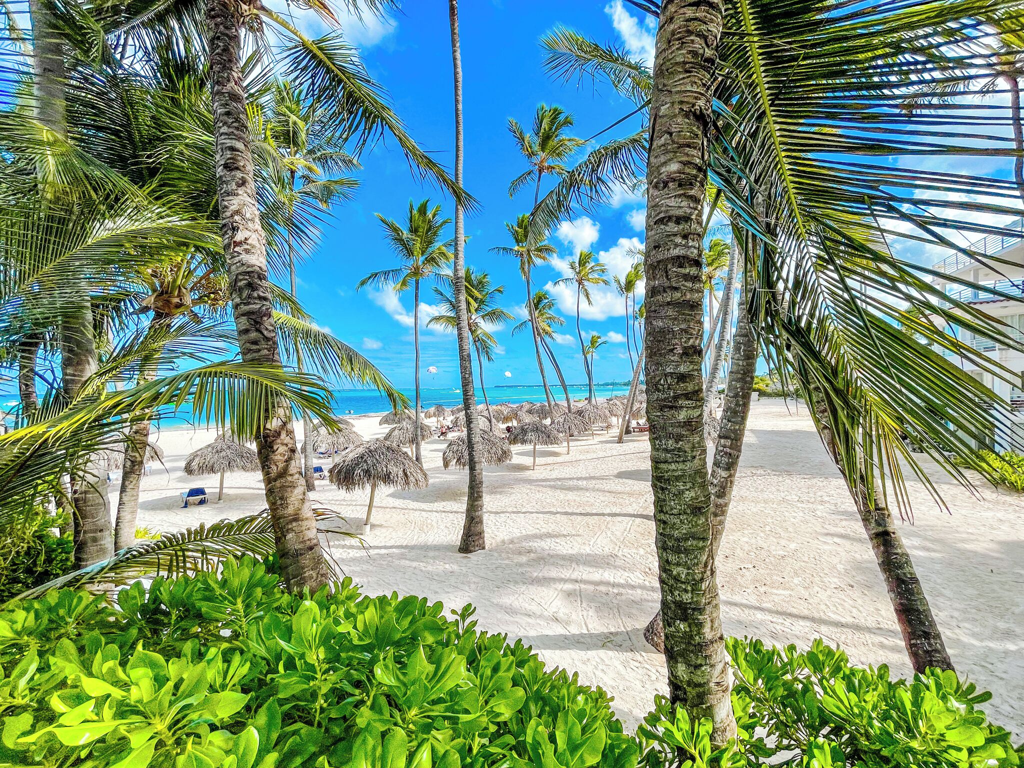 Apartment, 1 Schlafzimmer, am Strand | Ausblick vom Zimmer