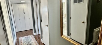 Local Life in KNOX! Pool+Campus+Downtown