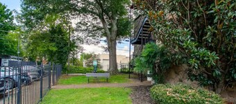 Local Life in KNOX! Pool+Campus+Downtown