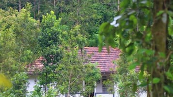Ulkopuoli