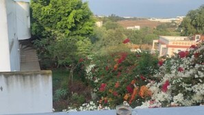 Un balcon avec une tasse de café, une vue sur un jardin fleuri et un bâtiment en arrière-plan.