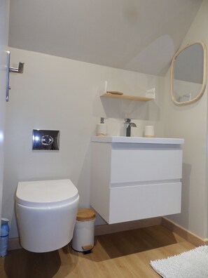Shower, eco-friendly toiletries, hair dryer, towels