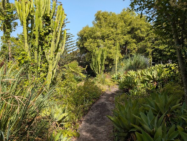 Jardines del alojamiento