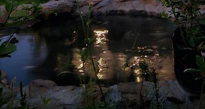 Eco Stay at Grihum farms - Udaipur - Natural Water Spring