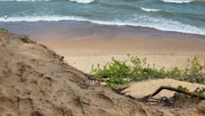 Una playa con agua azul cristalina y una orilla arenosa.