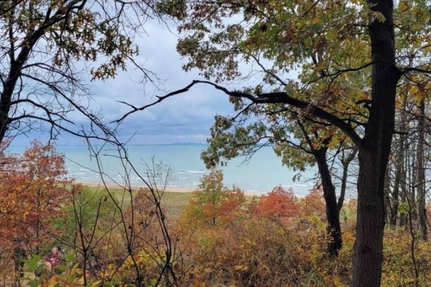 A coastal landscape with trees and a beach.