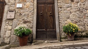 Un edificio de piedra con una puerta de madera, contraventanas verdes y dos macetas.