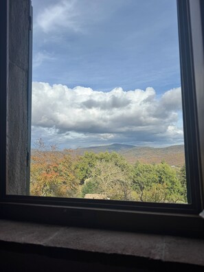 Romantisk enkeltrom, privat bad, dalutsikt | Individuelt dekorert, individuelt innredet, skrivebord og barnesenger