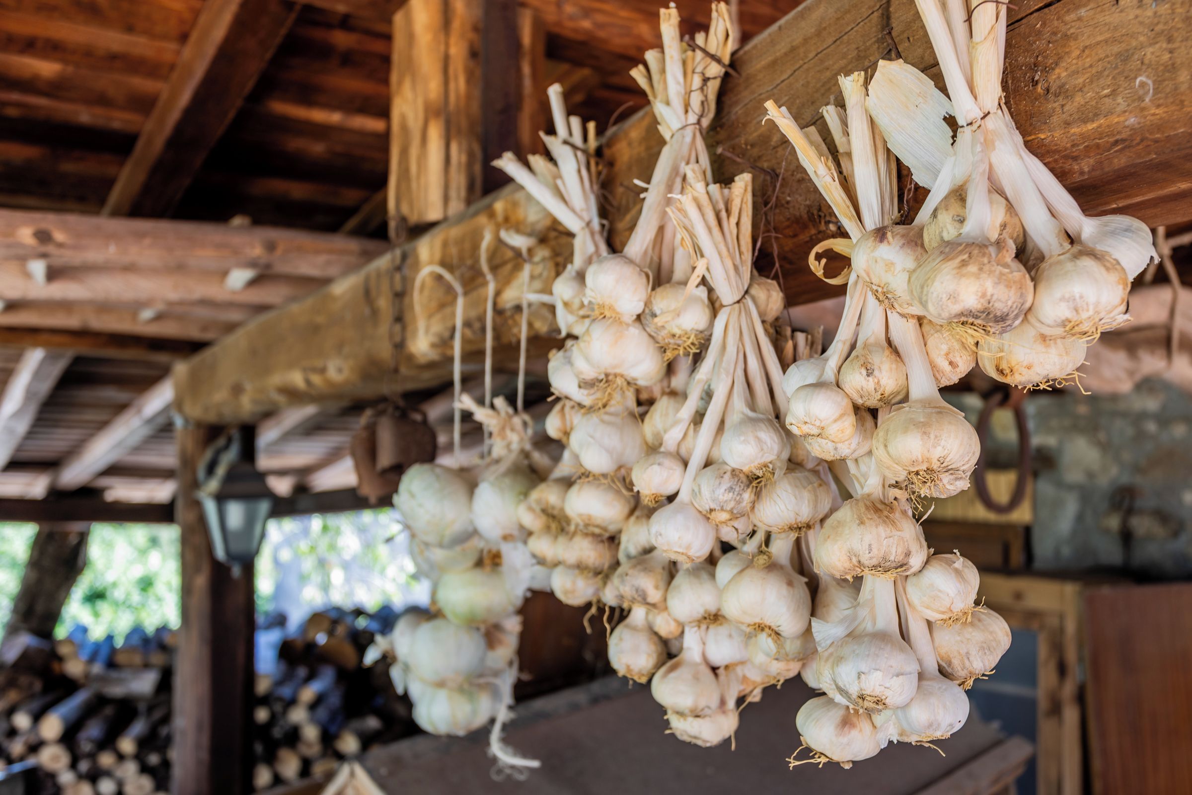 A rustic wooden structure with hanging bunches of onions.