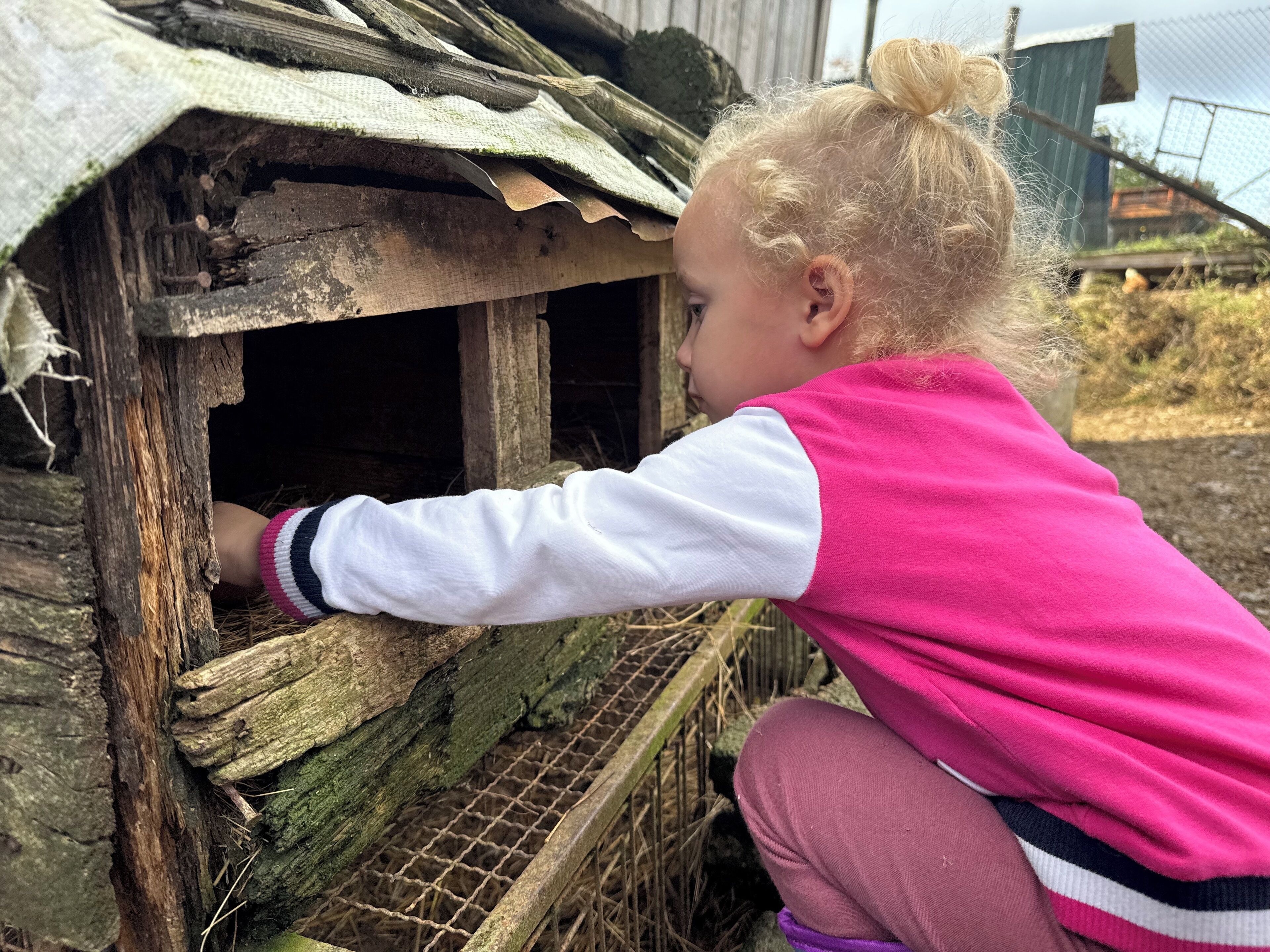 A child interacting with a rustic wooden structure, possibly a playhouse or a small shelter, with a wire mesh floor and a slanted roof.