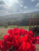 Un jardín con flores rojas en primer plano y una estructura de piedra al fondo.