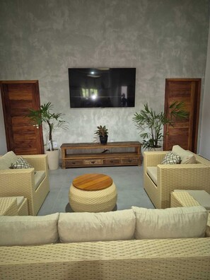 TV