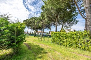 A grassy path leading to a house surrounded by trees and a hedge.