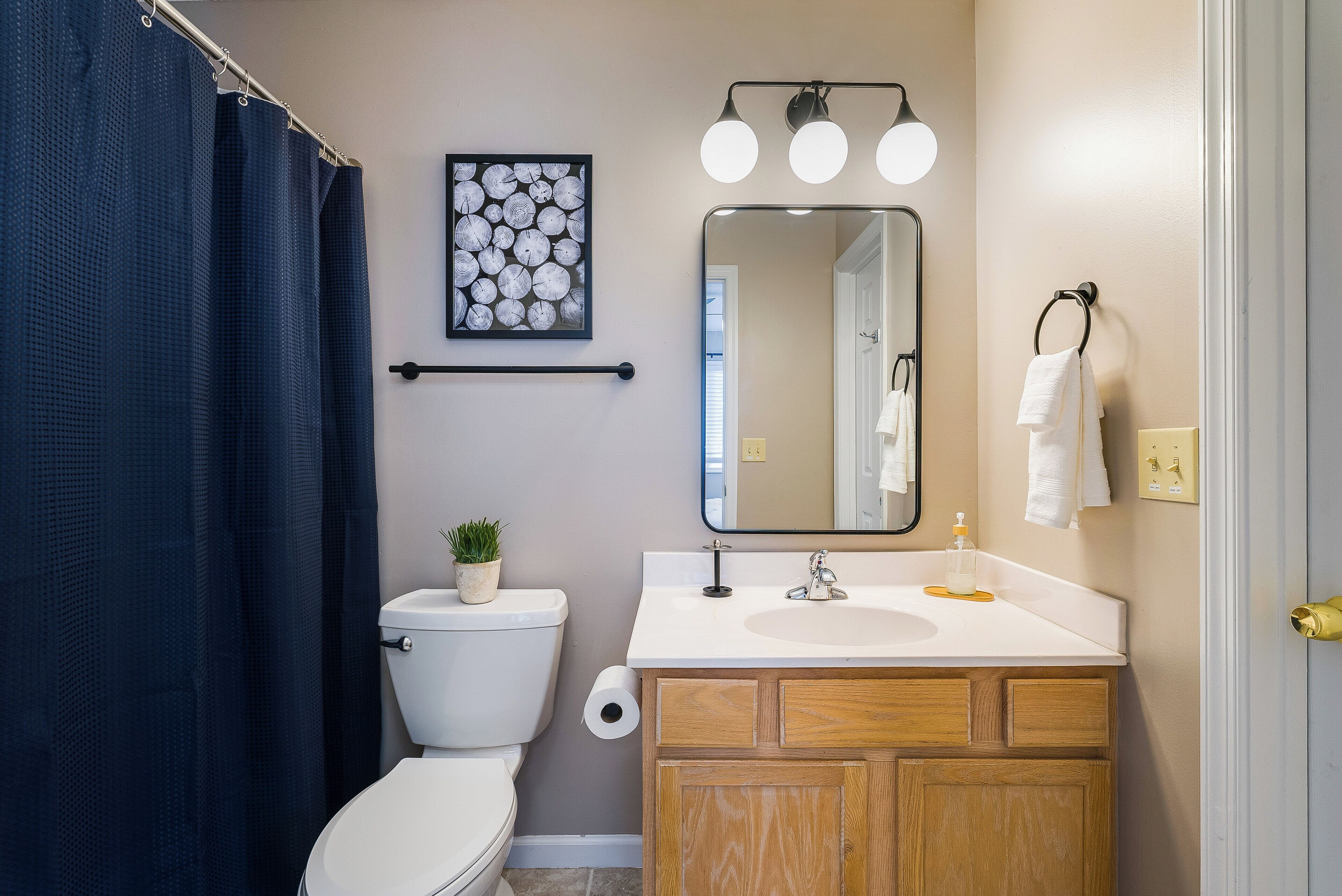 A bathroom with a white toilet, a wooden vanity, a mirror, and a shower curtain.