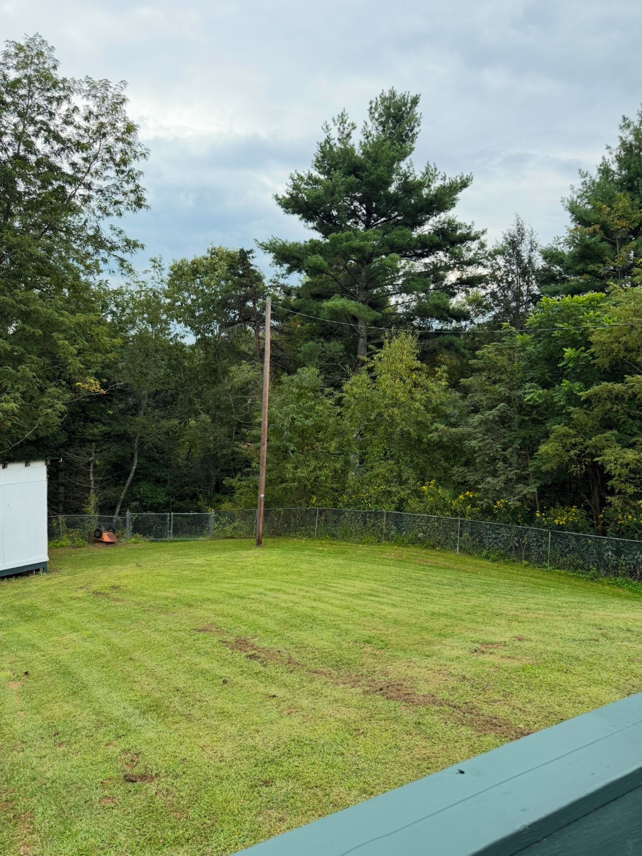 A grassy backyard with a fenced area, a utility pole, and a white building.