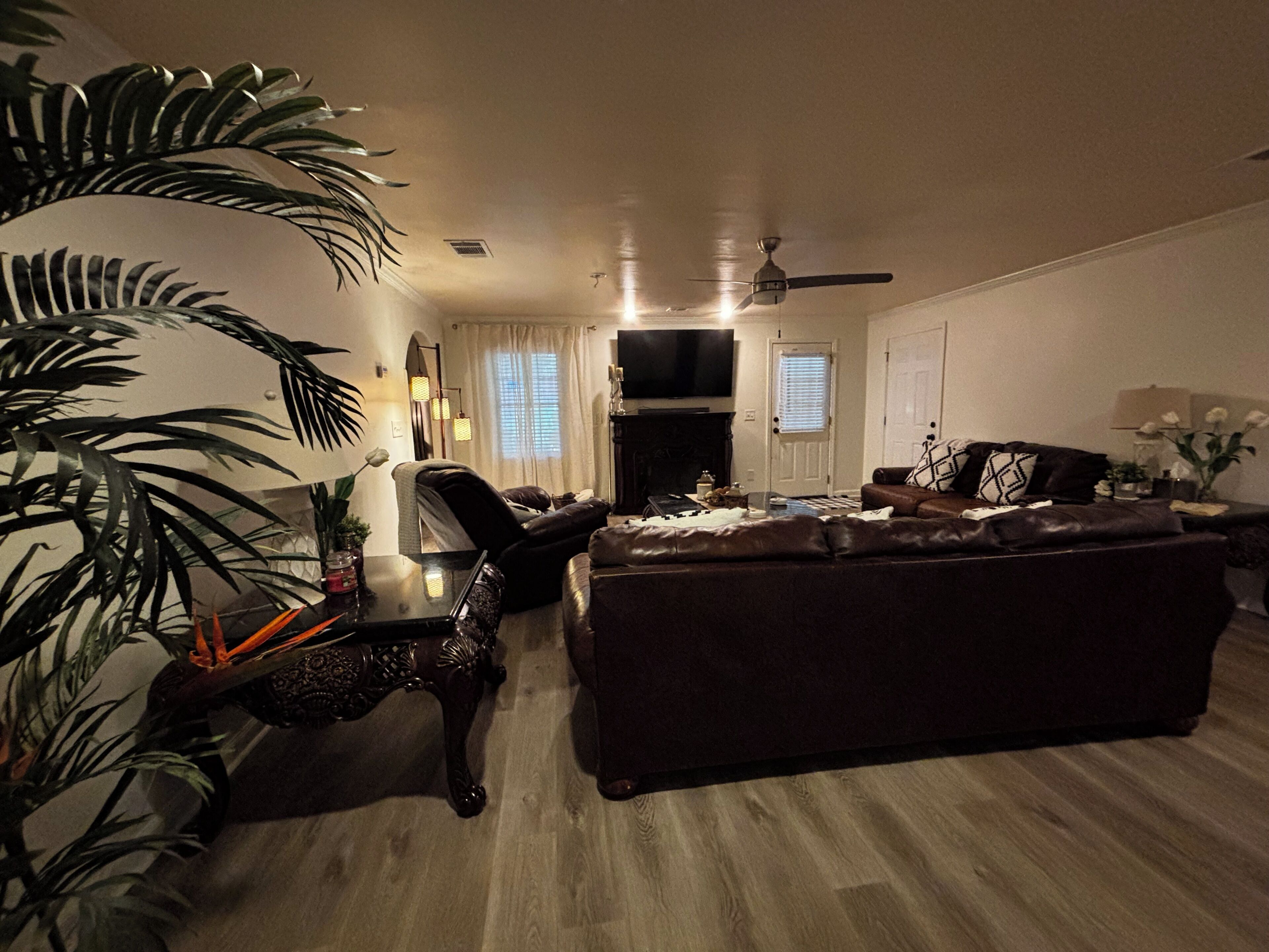 A living room with a dark brown sofa, a dining table with chairs, and a large potted plant.