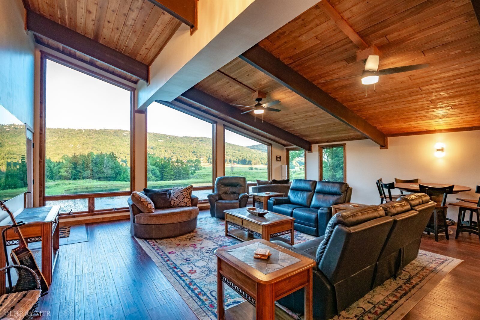 Chimenea y reproductor de DVD 