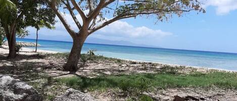 Playa en los alrededores