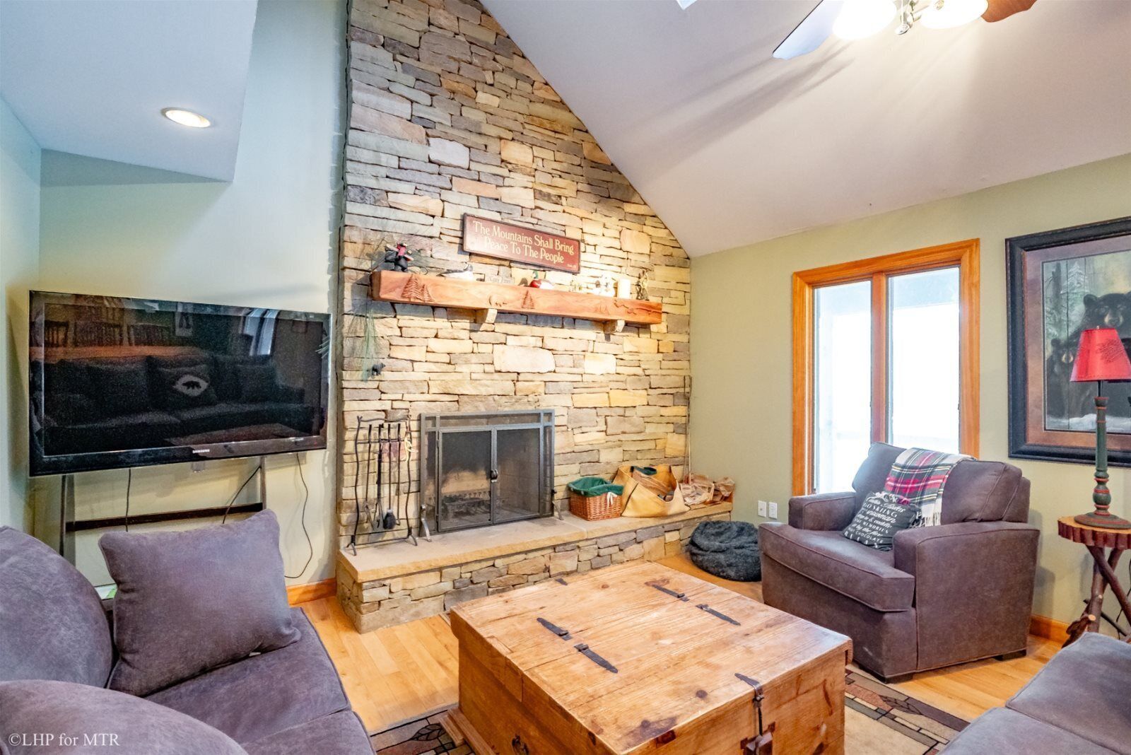 壁炉、DVD 播放器