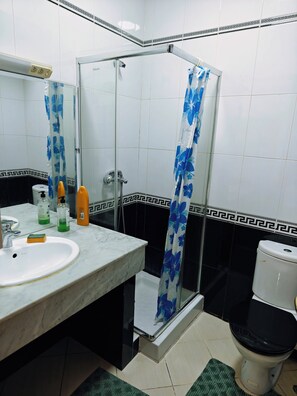 Serviettes fournies, savon, papier toilette