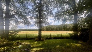 Un paisaje rural con un campo cercado, árboles y un sendero de piedra.