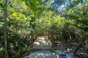 Property grounds - Full Stay With Pool Just 350m From the Beach in Porto Seguro PRY (Porto Seguro)