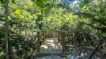 Jardines del alojamiento