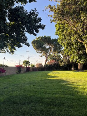 Property grounds